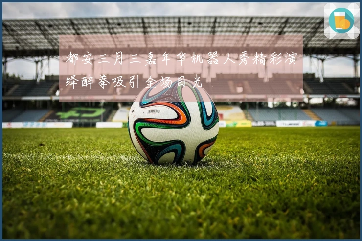 都安三月三嘉年华机器人秀精彩演绎醉拳吸引全场目光