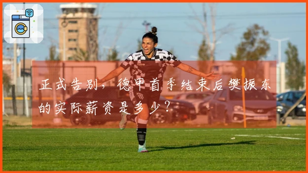 正式告别，德甲首季结束后樊振东的实际薪资是多少？
