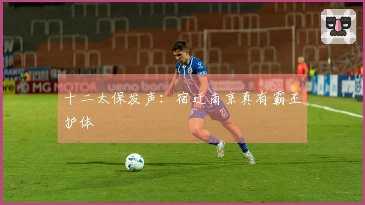 十二太保发声：宿迁南京真有霸王护体