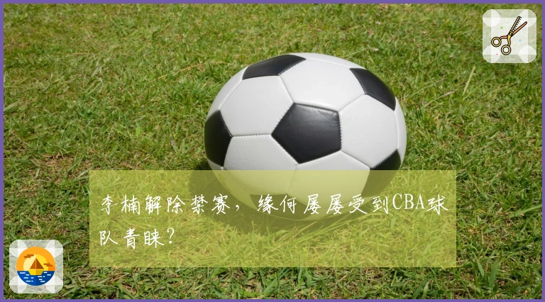 李楠解除禁赛，缘何屡屡受到CBA球队青睐？